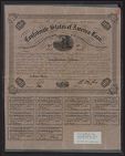 Confederate States of America Loan. Authorized by the Act of Congress, C.S.A of February 20th, 1863. No. 9256